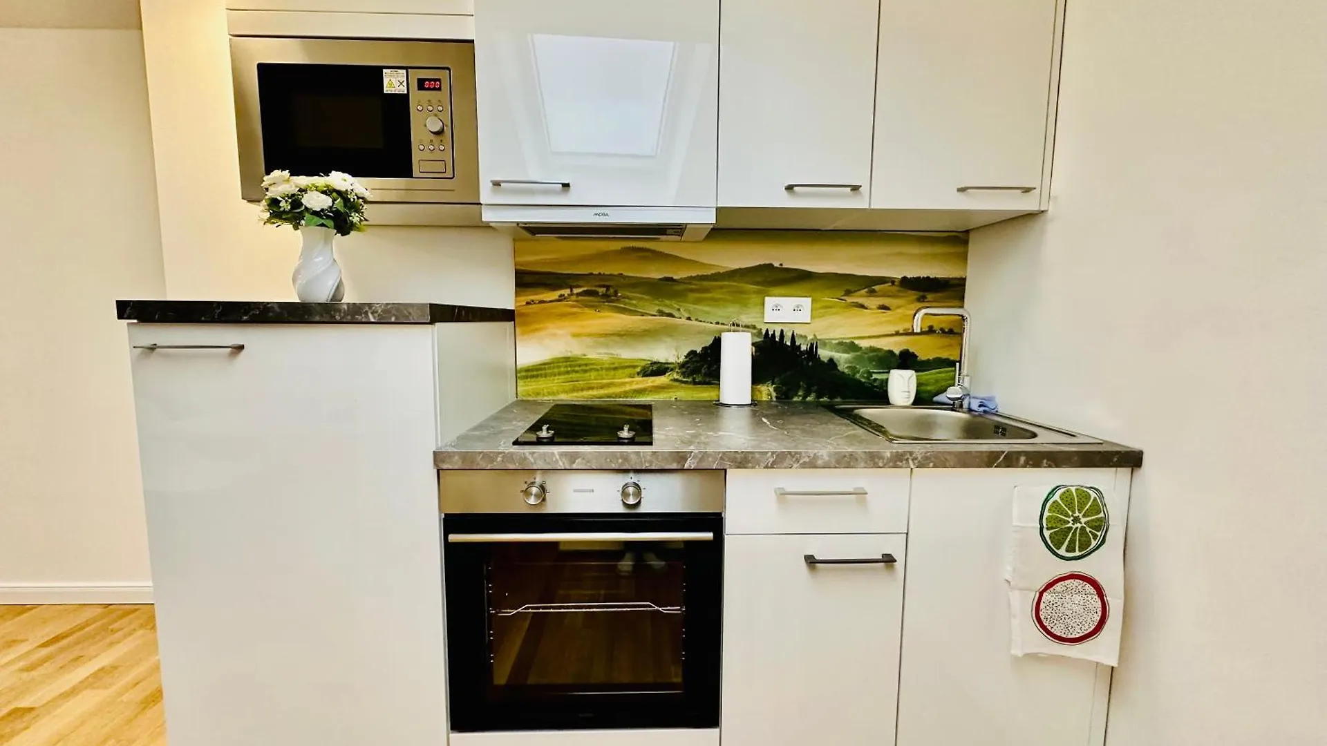 Wenceslas' Shi Apartment Prague Czech Republic